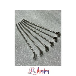 قاشق شربت 12 نفره نی دار